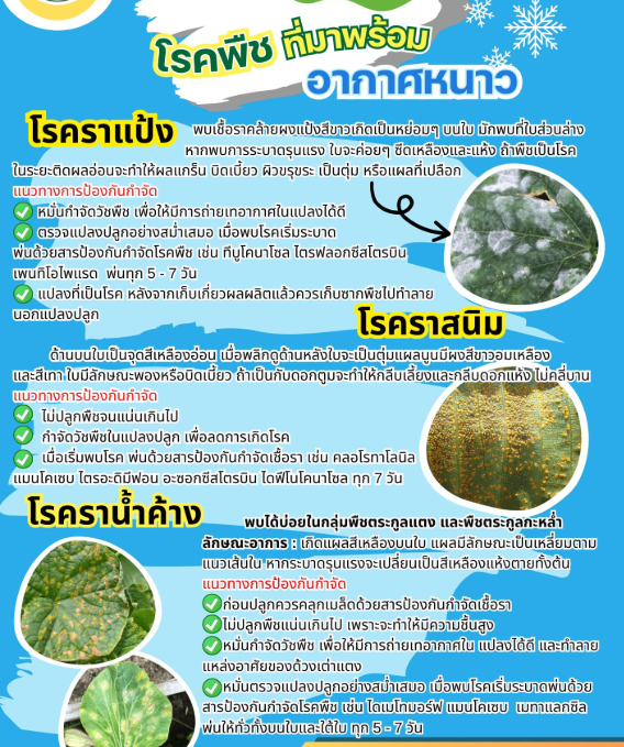 โรคพืช ฤดูหนาว