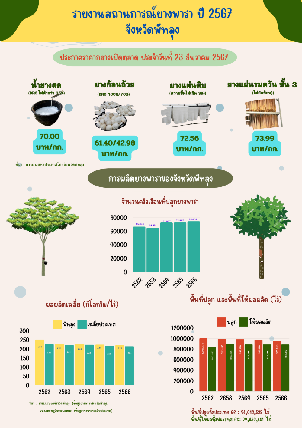 ราคายางพาราประจำวันที่ 23 ธันวาคม 2567