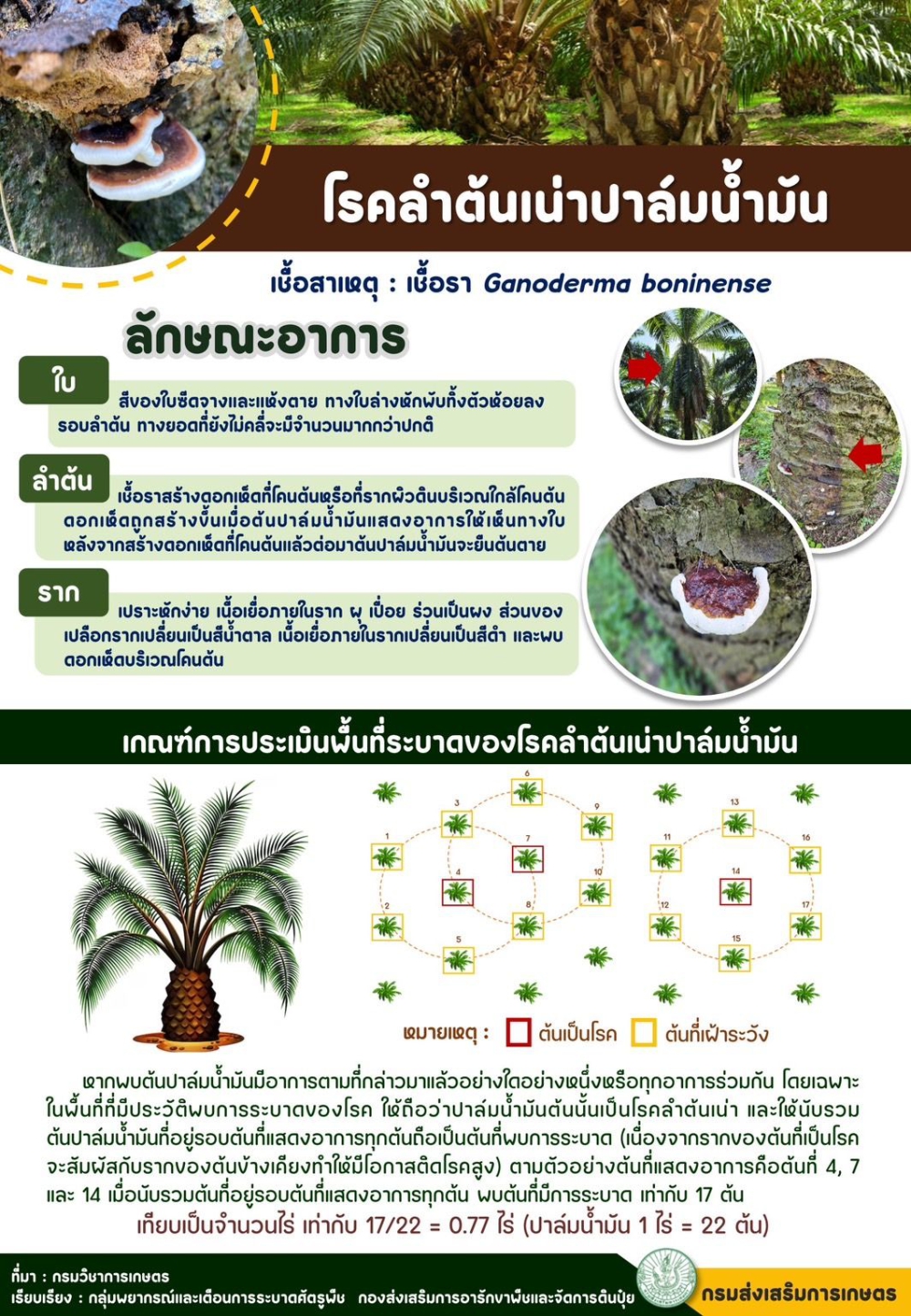 เฝ้าระวังการระบาดของศัตรูพืชเศรษฐกิจของภาคใต้ในสถานการณ์อุทกภัย