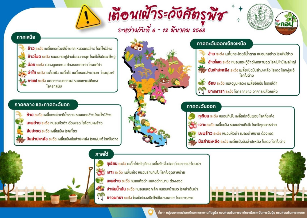 เตือน!!!!!!เฝ้าระวังการระบาดศัตรูพืช