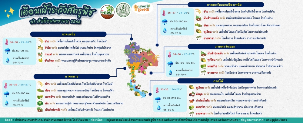 เตือนเฝ้าระวังศัตรูพืช ประจำเดือนเมษายน 2568