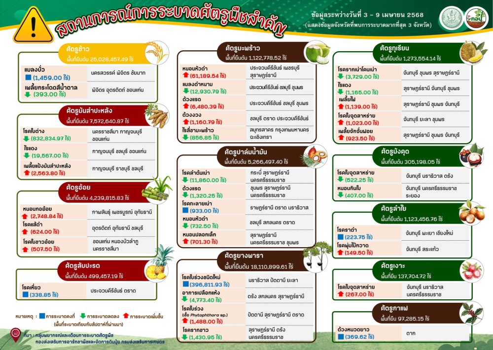 สรุปสถานการณ์การระบาดศัตรูพืชสำคัญ