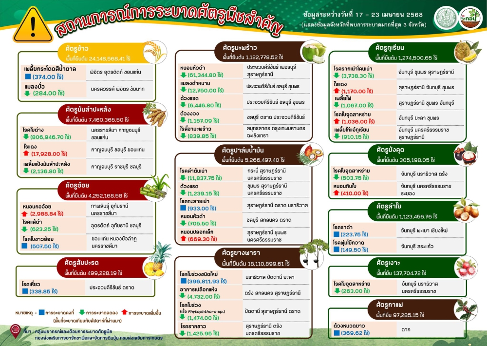 สรุปสถานการณ์การระบาดศัตรูพืชสำคัญ