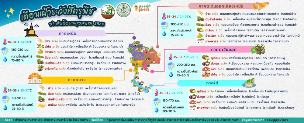 ฝนมาแล้ว!!เตือนเกษตรกรระวังศัตรูพืช