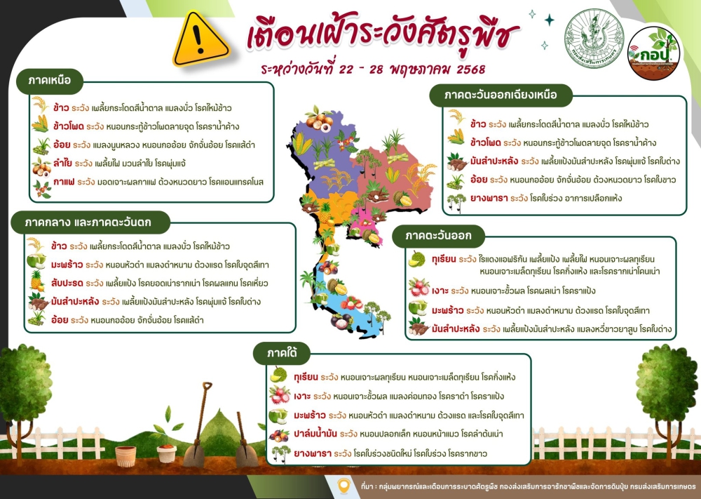 เตือนเฝ้าระวังศัตรูพืช ระหว่างวันที่ 22-28 พฤษภาคม 2568