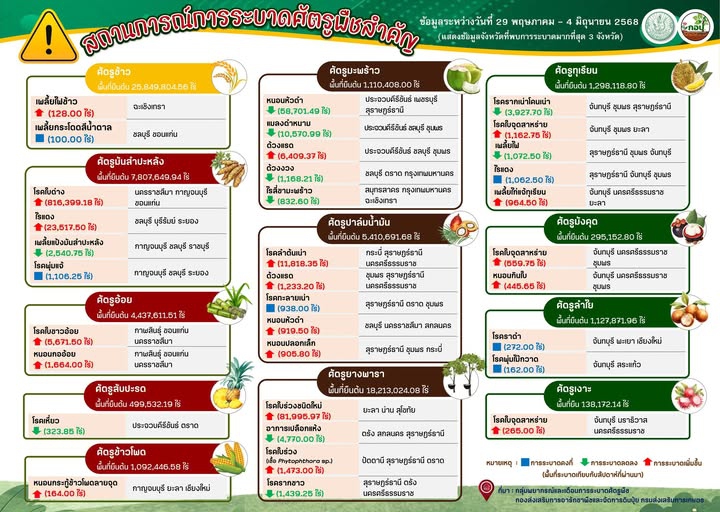 สรุปสถานการณ์การระบาดศัตรูพืชสำคัญ