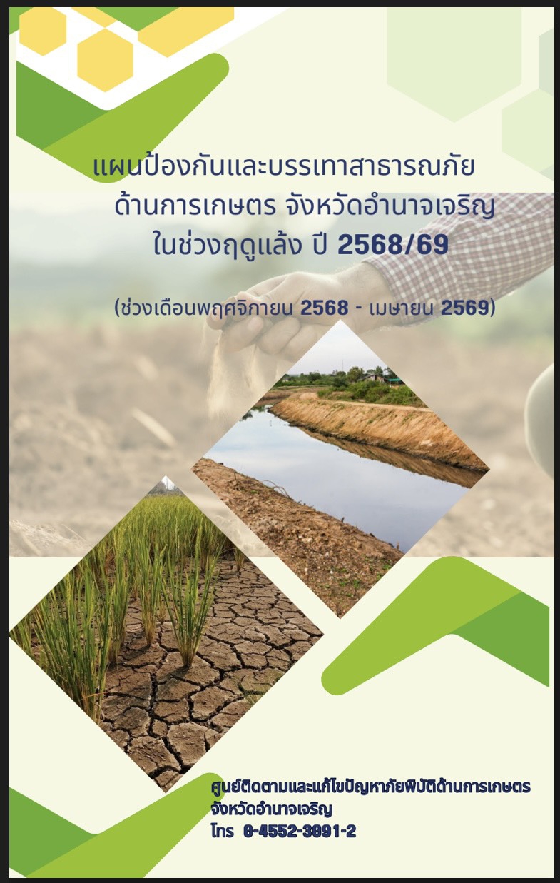 แผนป้องกันและบรรเทาสาธารณภัย