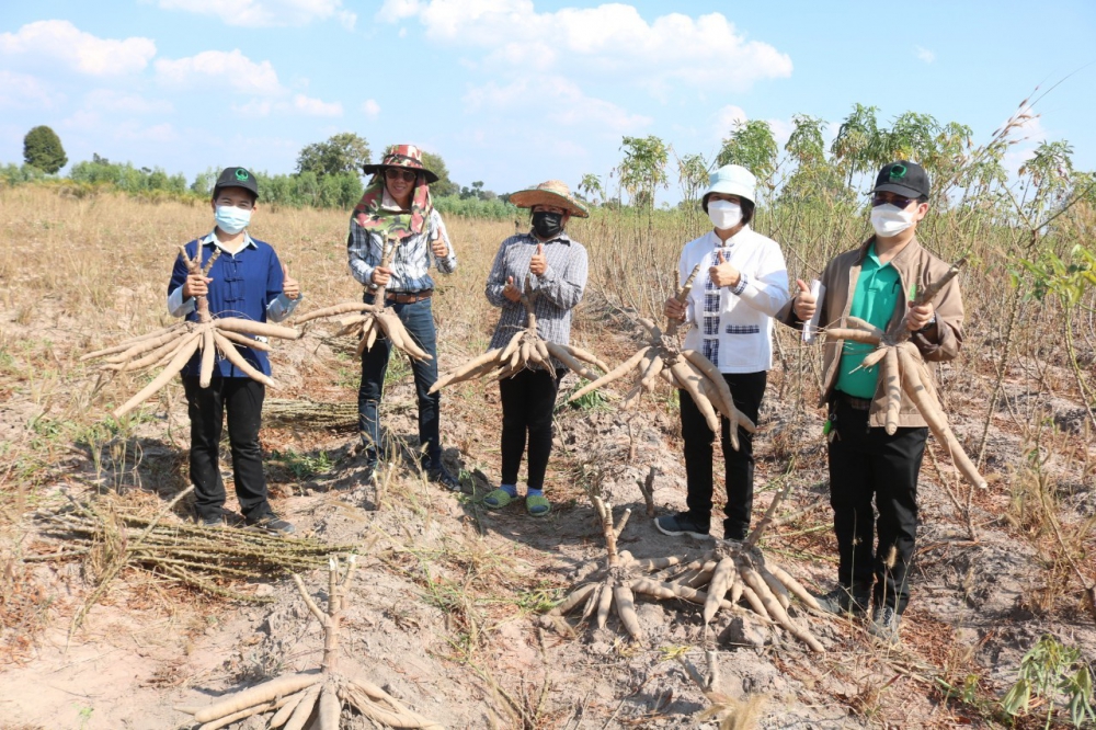 การจัดเก็บข้อมูลกลุ่มเกษตรกรผู้ประสบความสำเร็จด้านเกษตรปลอดภัย