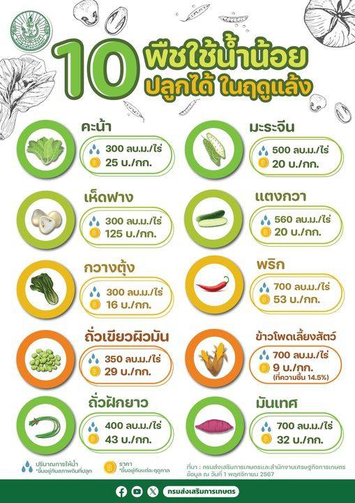 10 พืชใช้น้ำน้อย ปลูกได้ ในฤดูแล้ง