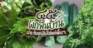 “45ผักพื้นบ้าน”ประโยชน์ไม่ใช่แค่พื้นๆ