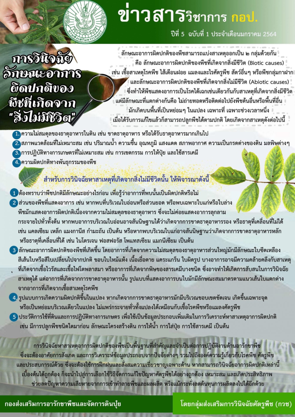 ความผิดปกติของพืช