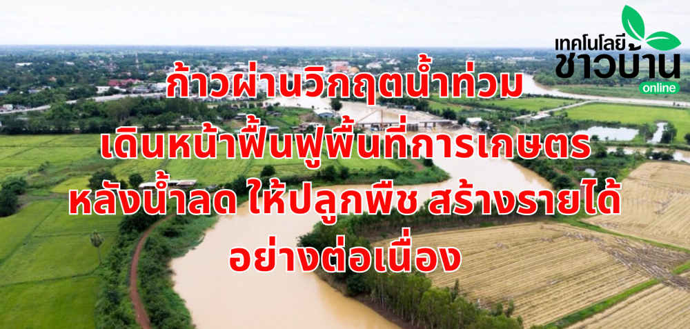 ก้าวผ่านวิกฤตน้ำท่วม