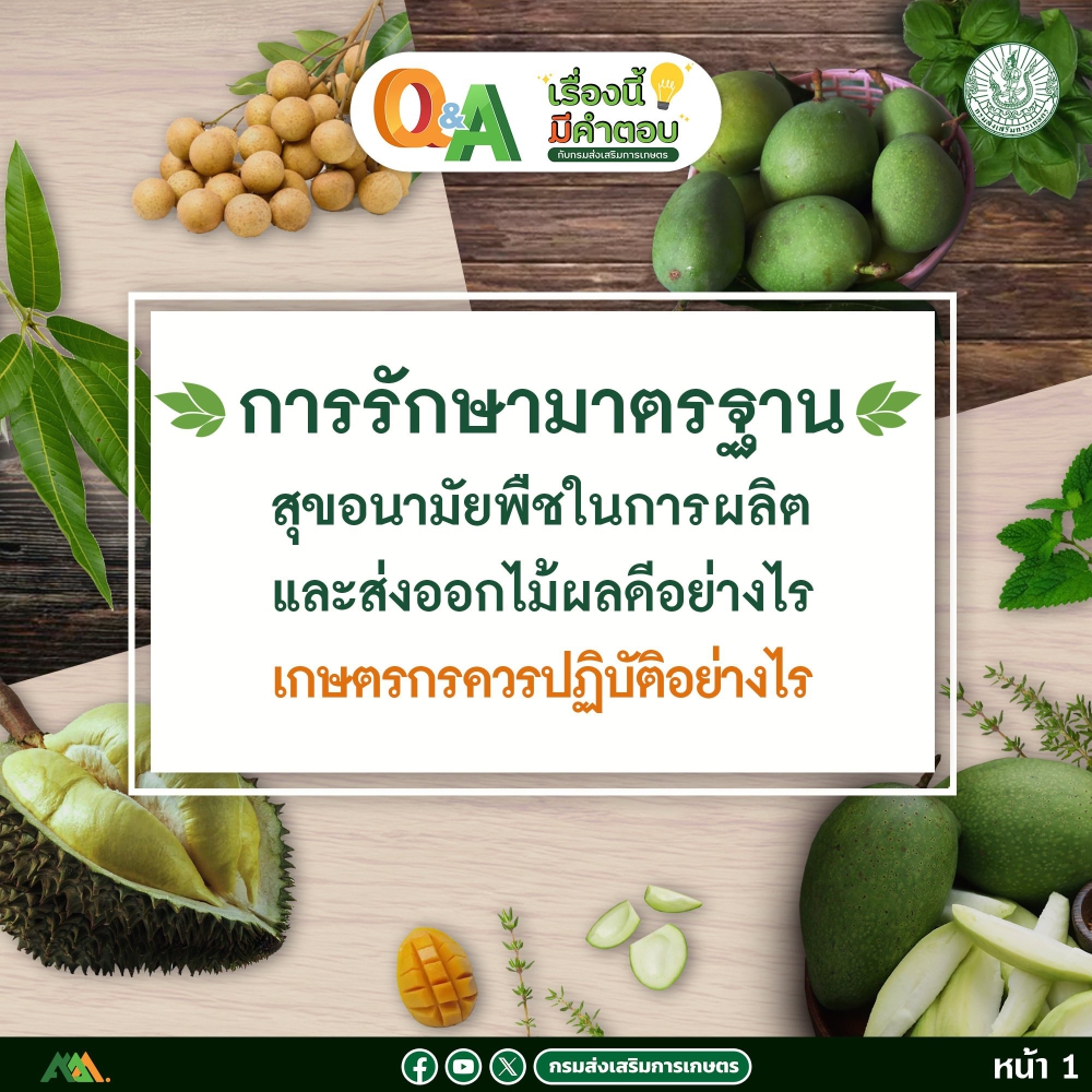 การรักษามาตรฐานสุขอนามัยพืชในการผลิตและส่งออกไม้ผลดีอย่างไร