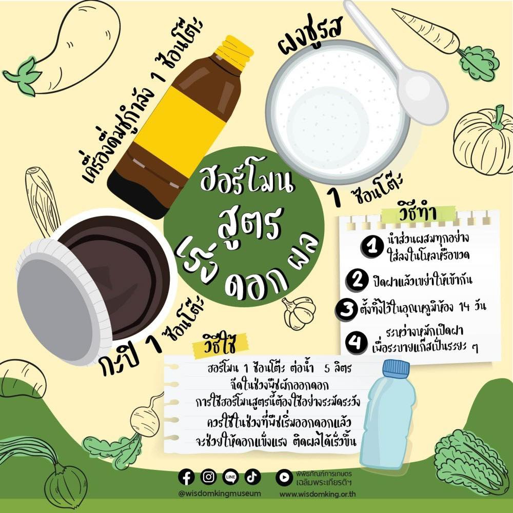 ฮอร์โมน สูตรเร่งดอกผล