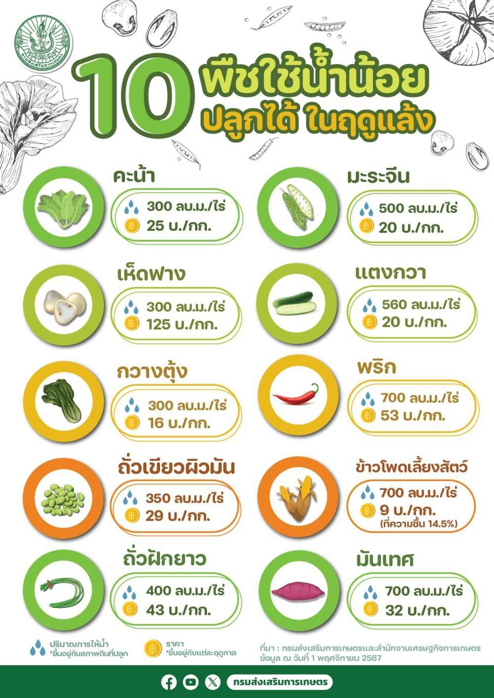 10 พืช ใช้น้ำน้อย ปลูกได้ในฤดูแล้ง