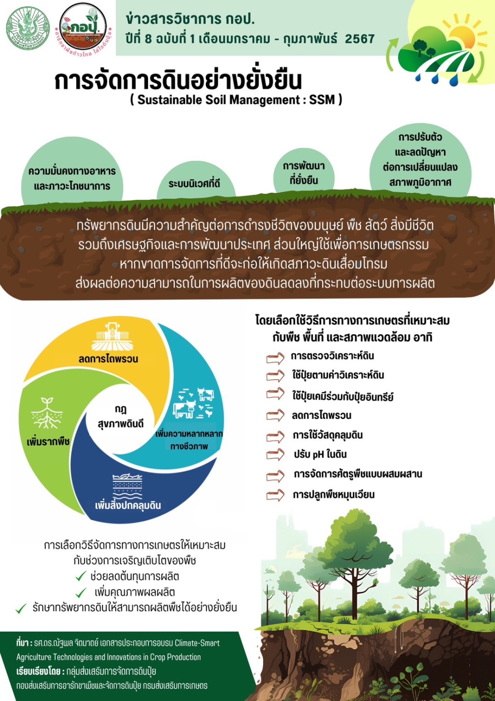 การจัดการดิน