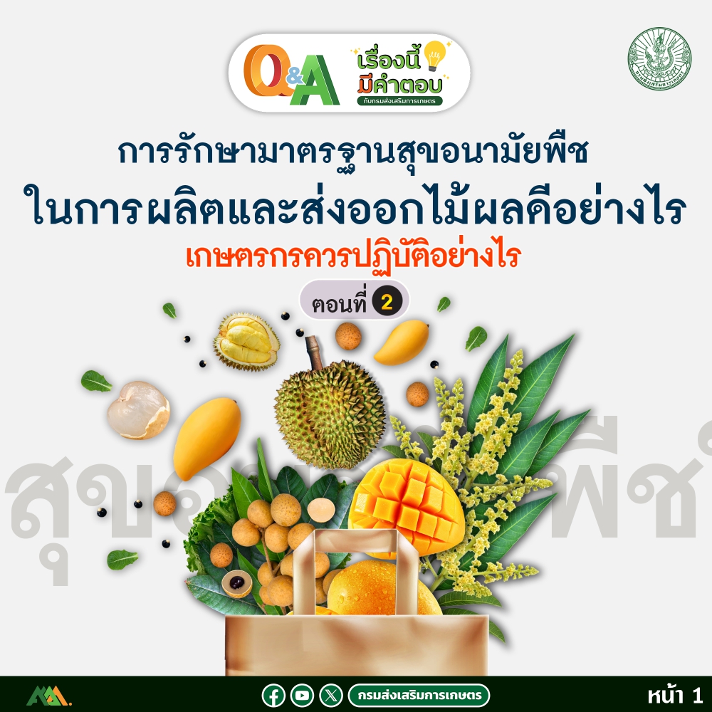 การรักษามาตรฐานสุขอนามัยพืชในการผลิตและส่งออกไม้ผลดีอย่างไร