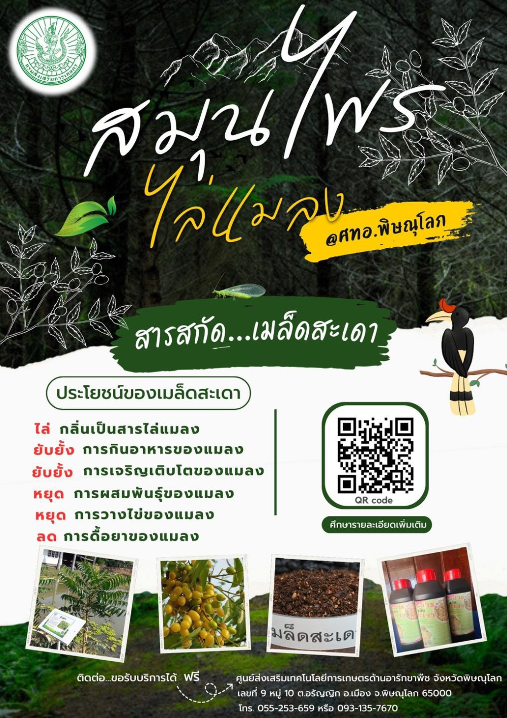 สมุนไพรไล่แมลง