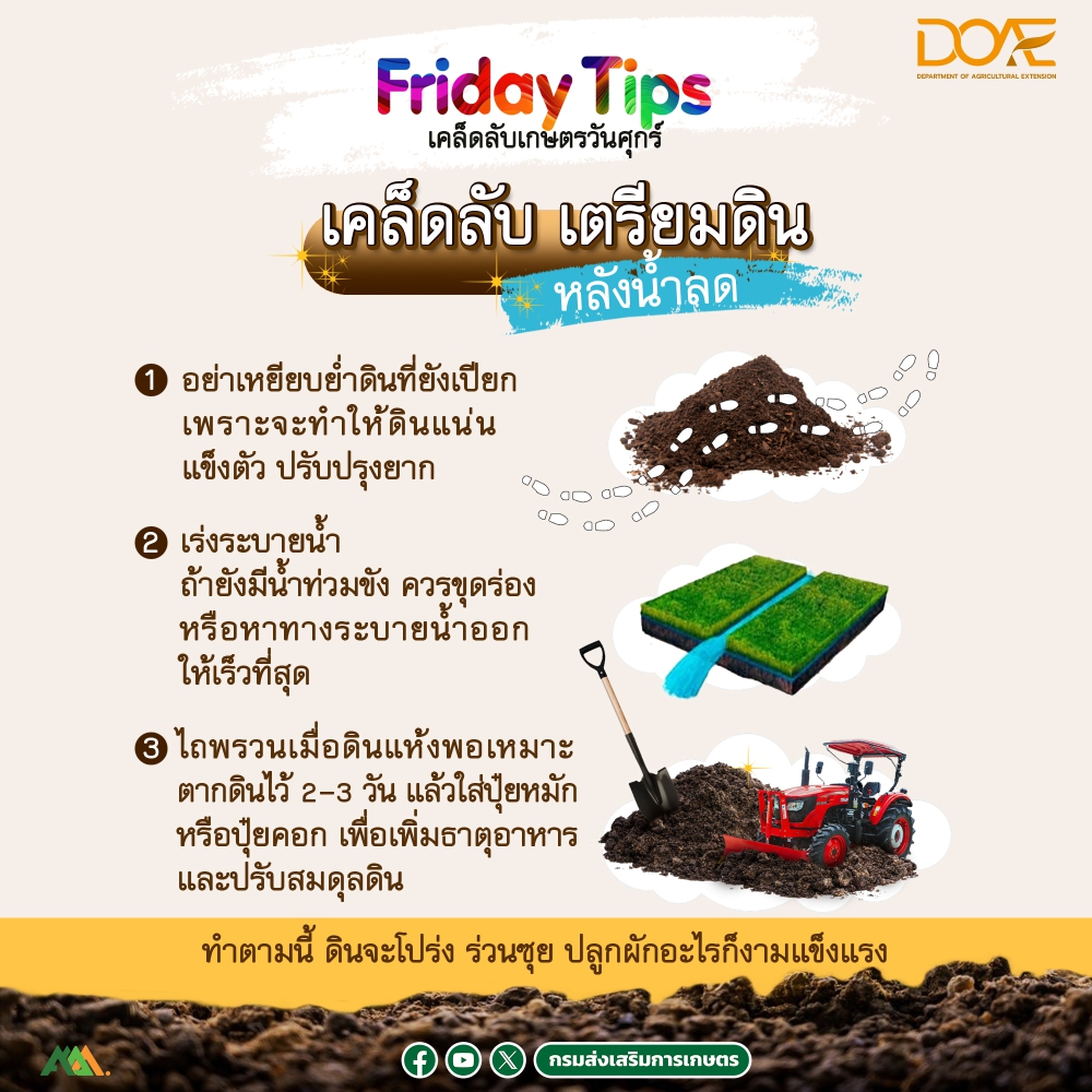 เคล็ดลับเตรียมดินง่าย ๆ หลังน้ำลด