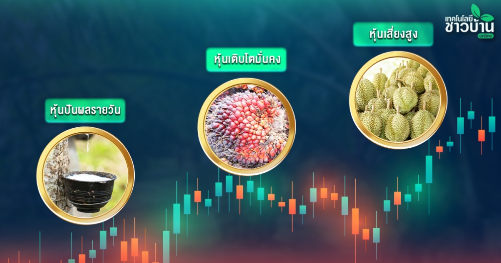 ถ้าเปรียบการทำสวนยาง