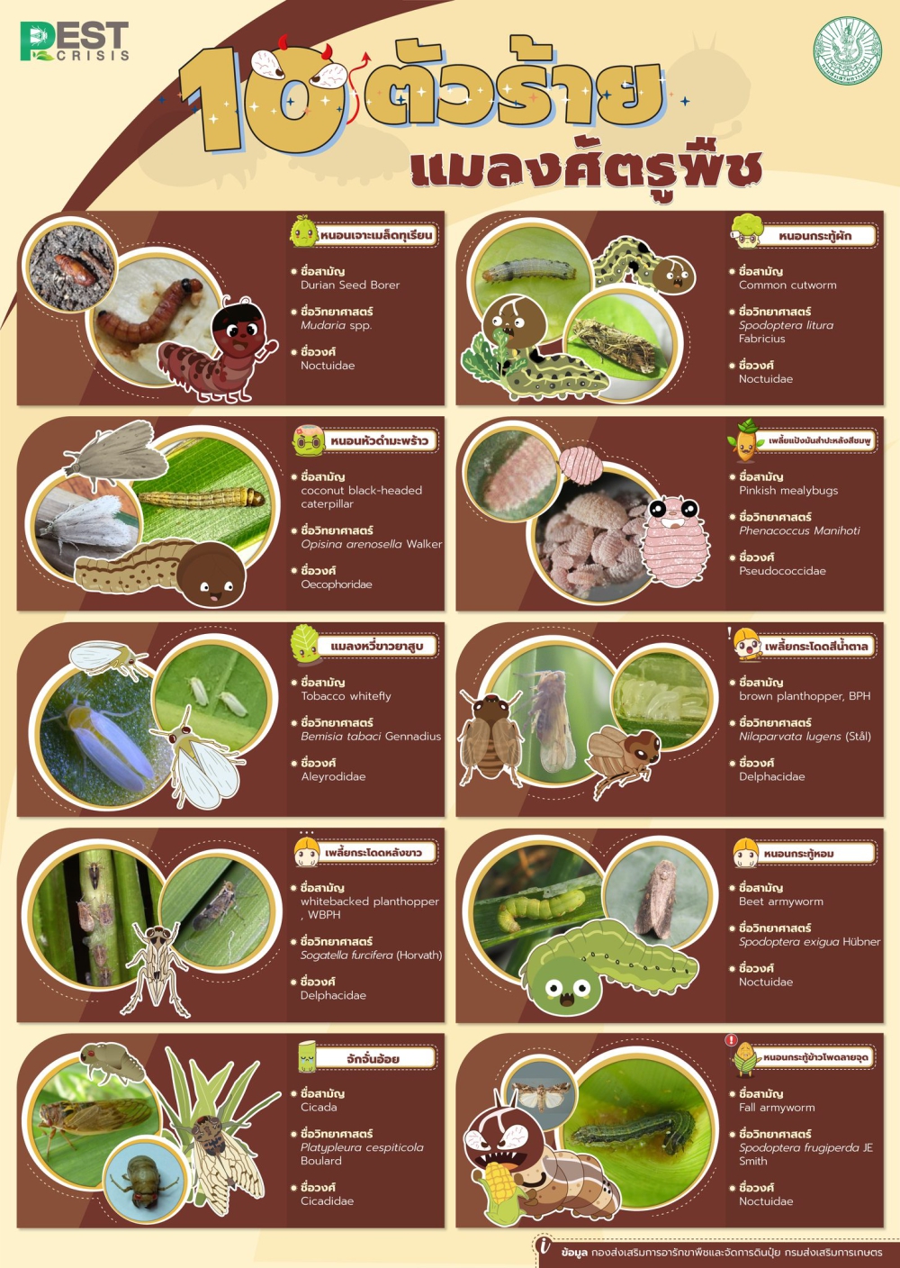 10 ตัวร้ายแมลงศัตรูพืช