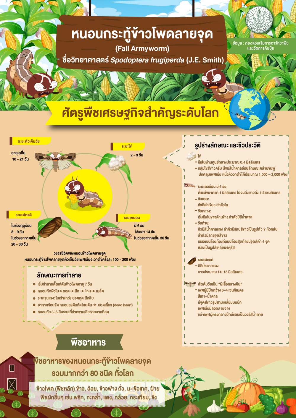 หนอนกระทู้ข้าวโพดลายจุด