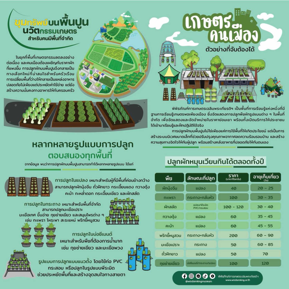 ขุมทรัพย์บนพื้นปูน