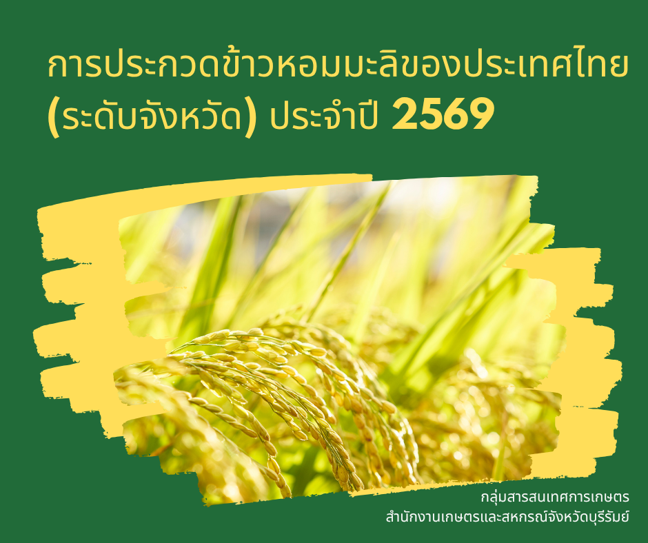 ประชาสัมพันธ์เพื่อเตรียมความพร้อมการเก็บเกี่ยวผลผลิตข้าวหอมมะลิ