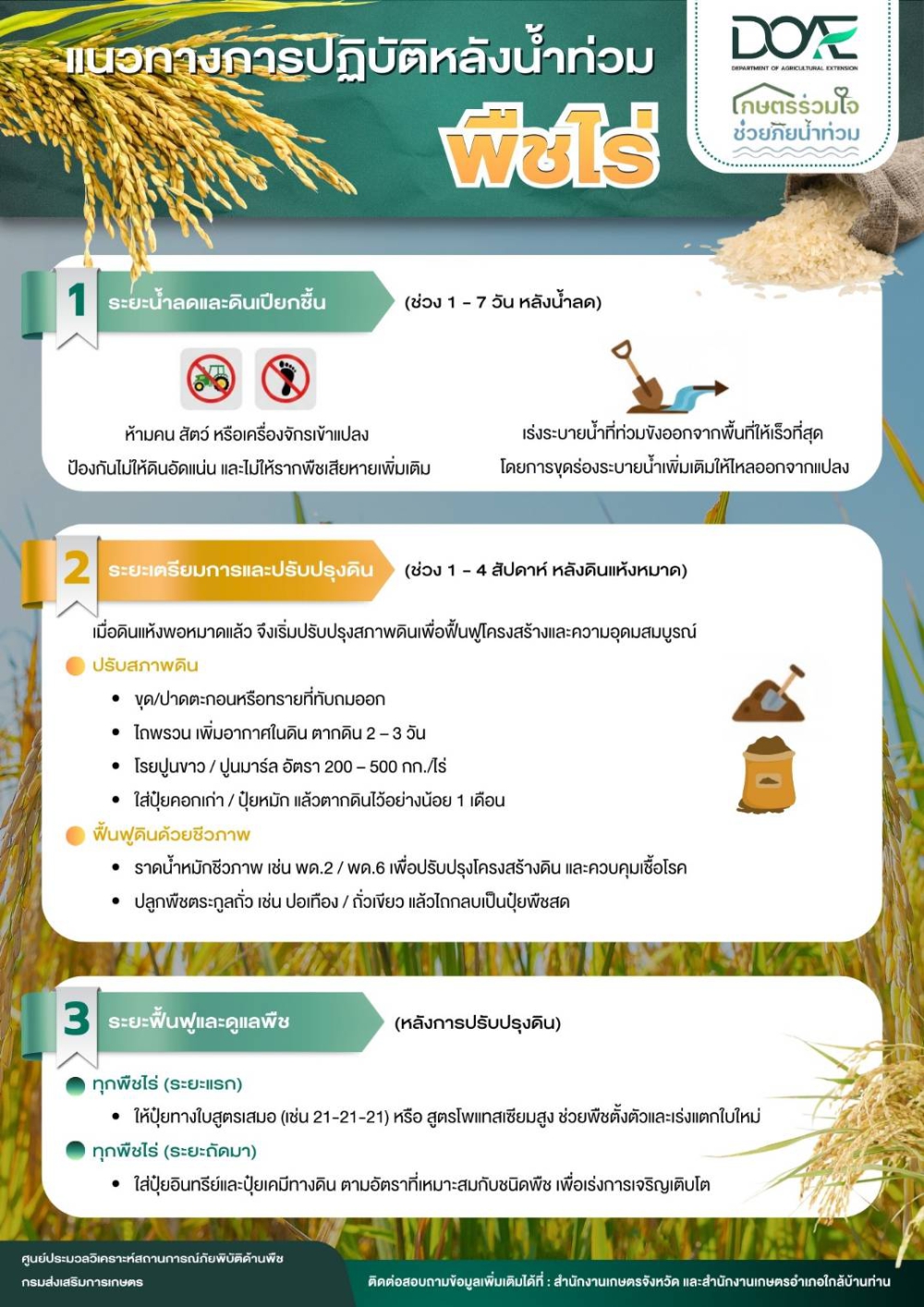 แนวทางปฏิบัติหลังน้ำท่วม พืชไร่