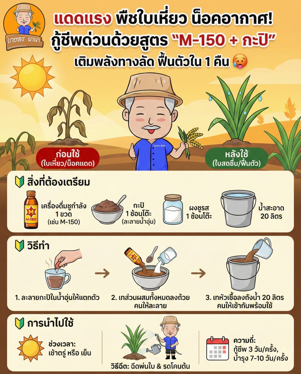แดดแรงพืชใบเหี่ยวน็อคอากาศกู้ชีพด่วนด้วยสูตร