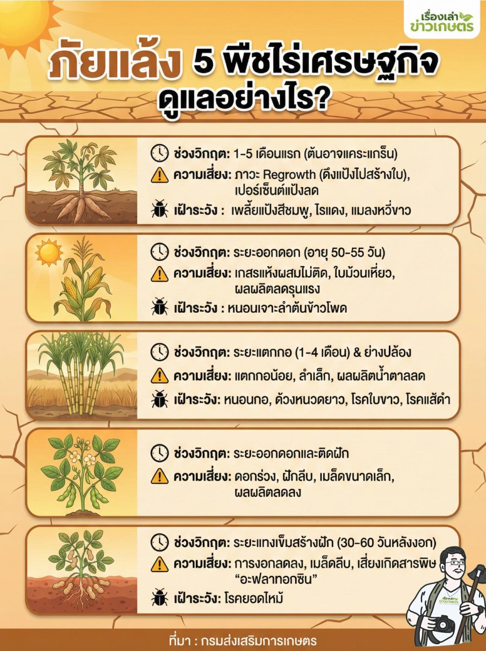 5 พืชไร่เศรษฐกิจ
