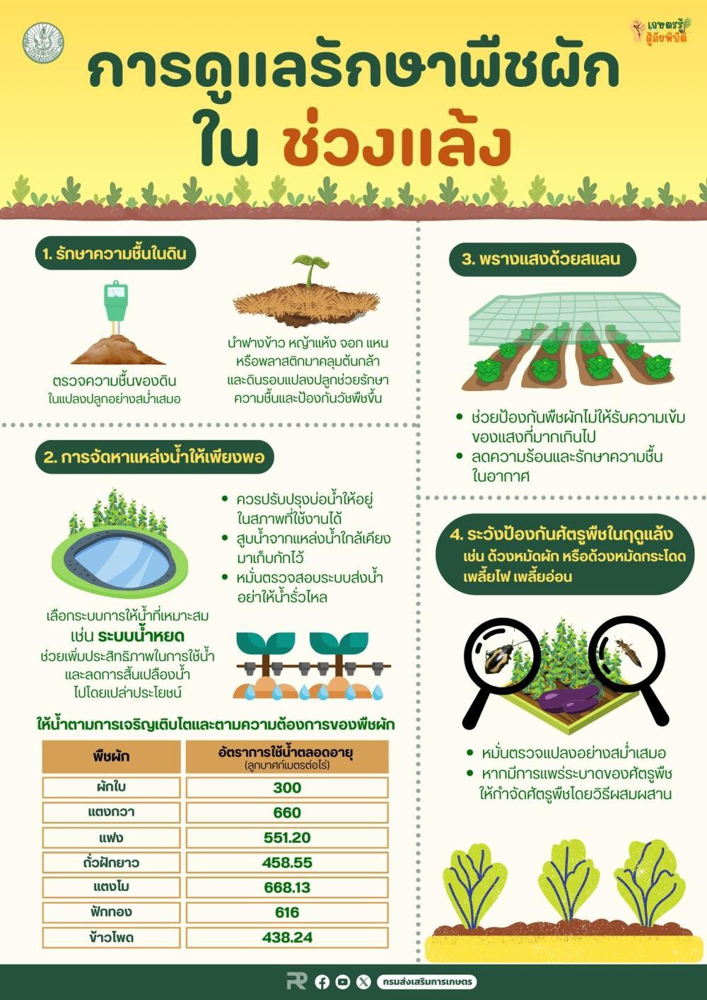 การดูแลรักษาพืชผักใน ช่วงแล้ง