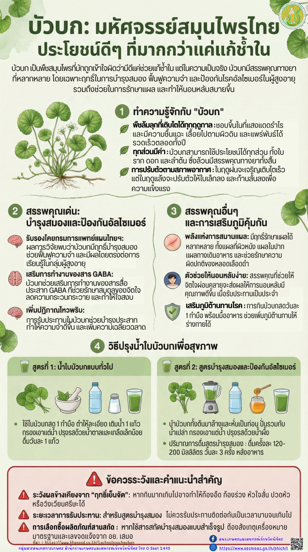 บัวบกมหัสจรรย์สมุนไพรไทย