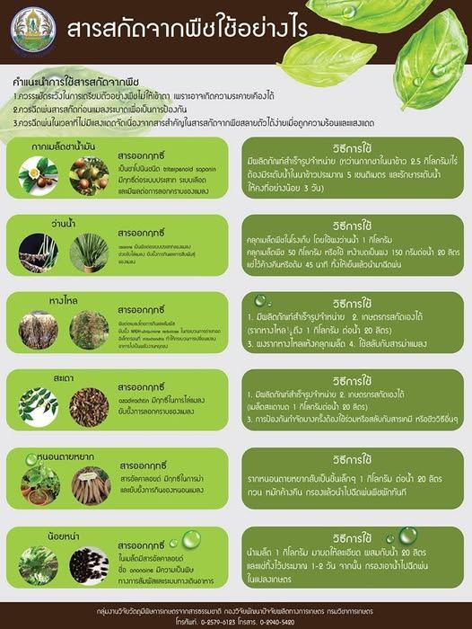 สารสกัดจากพืช ใช้อย่างไร