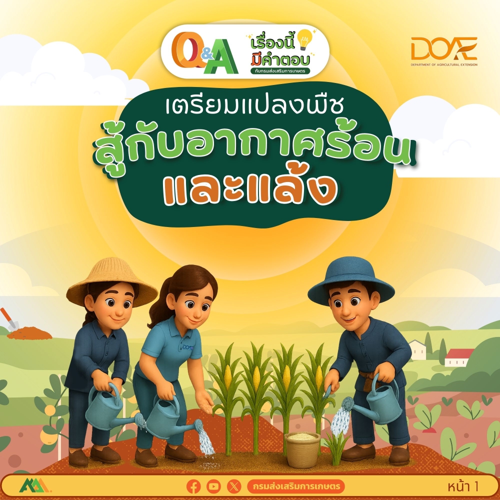วิธีสู้แดดสู้แล้ง ฉบับเตรียมแปลงให้รอดตาย!