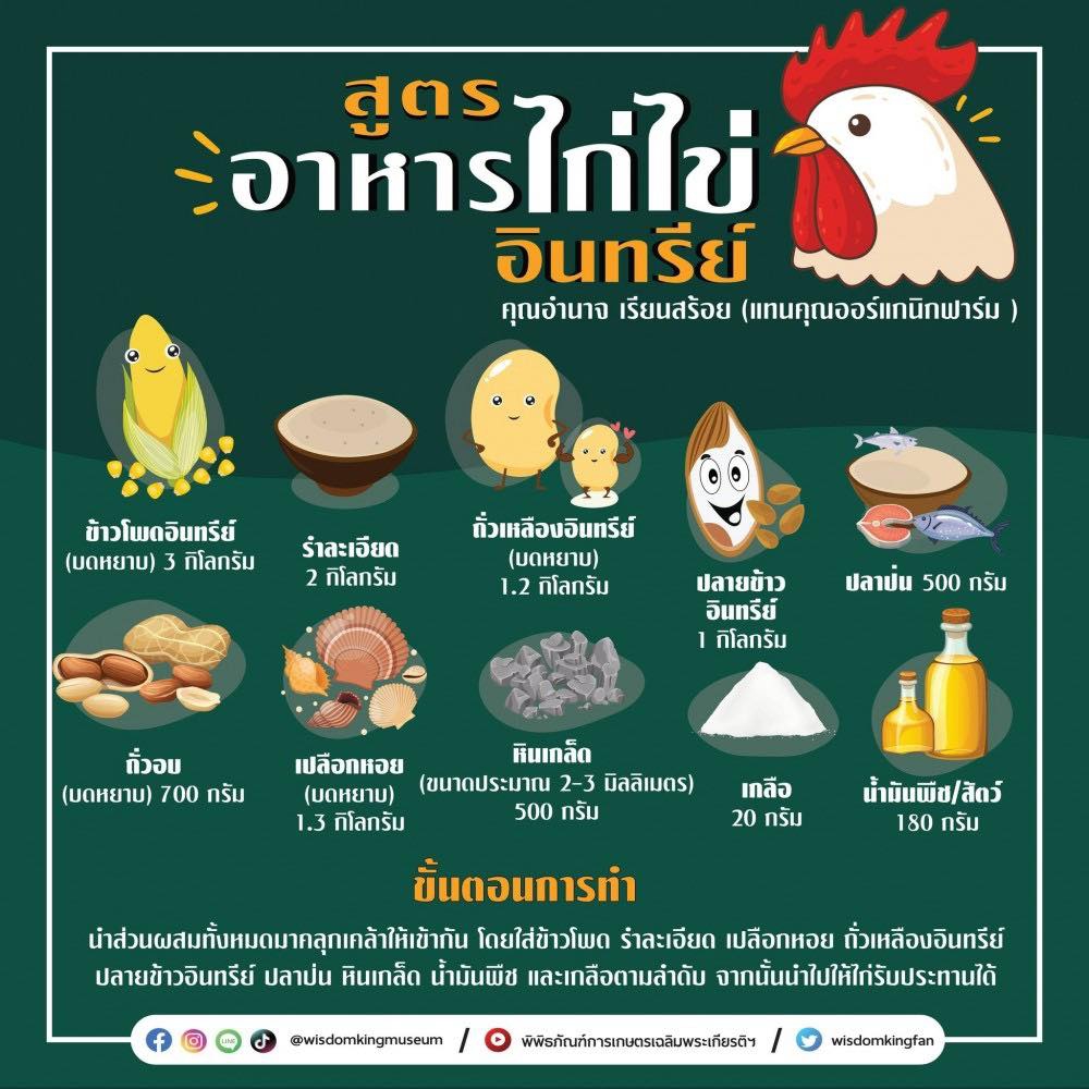 สูตรอาหารไก่ไข่อินทรีย์