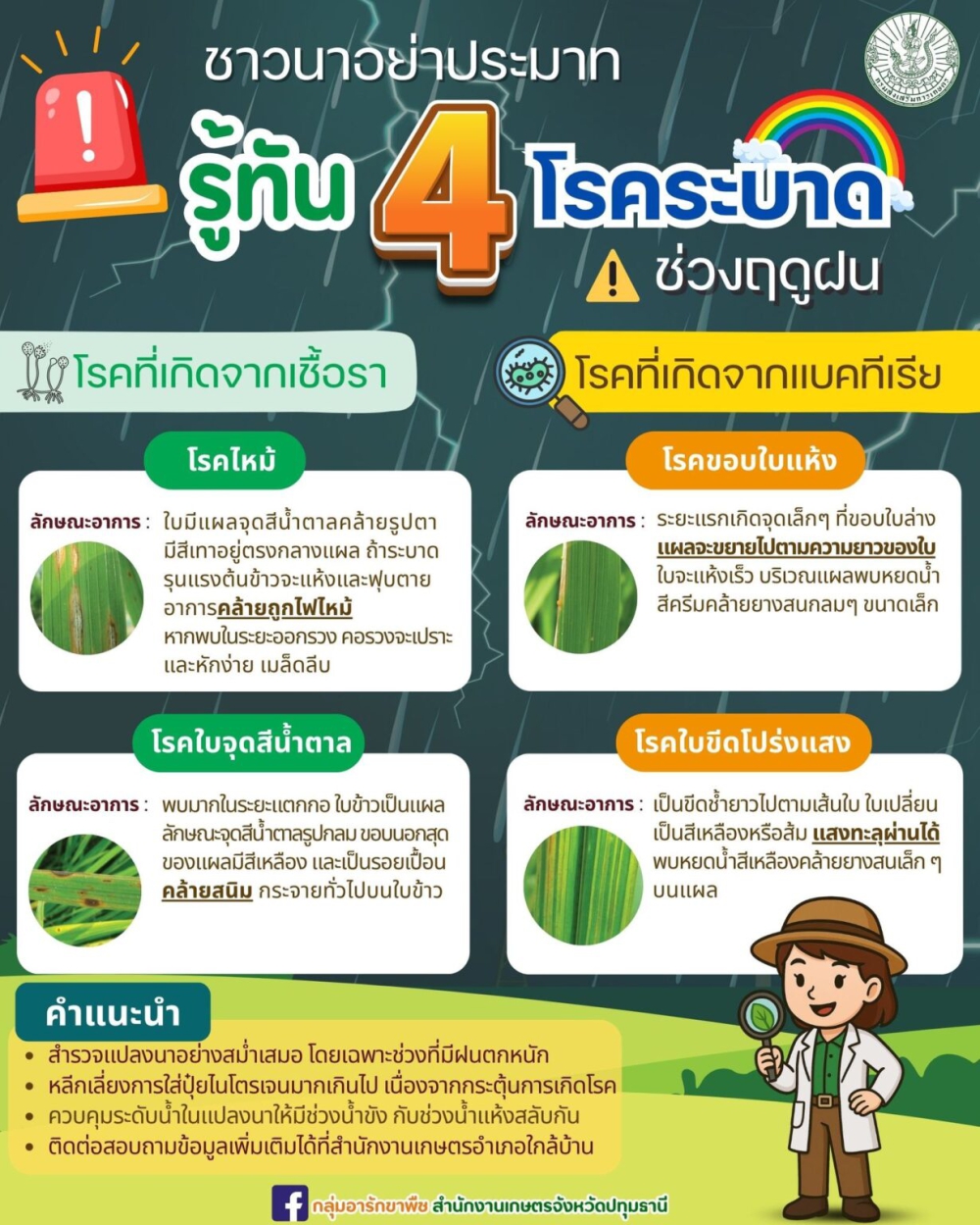 ชาวนาอย่าประมาท รู้ทัน 4 โรคระบาดช่วงฤดูฝน