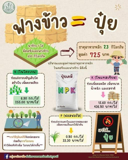 ฟางข้าว-ปุ๋ย