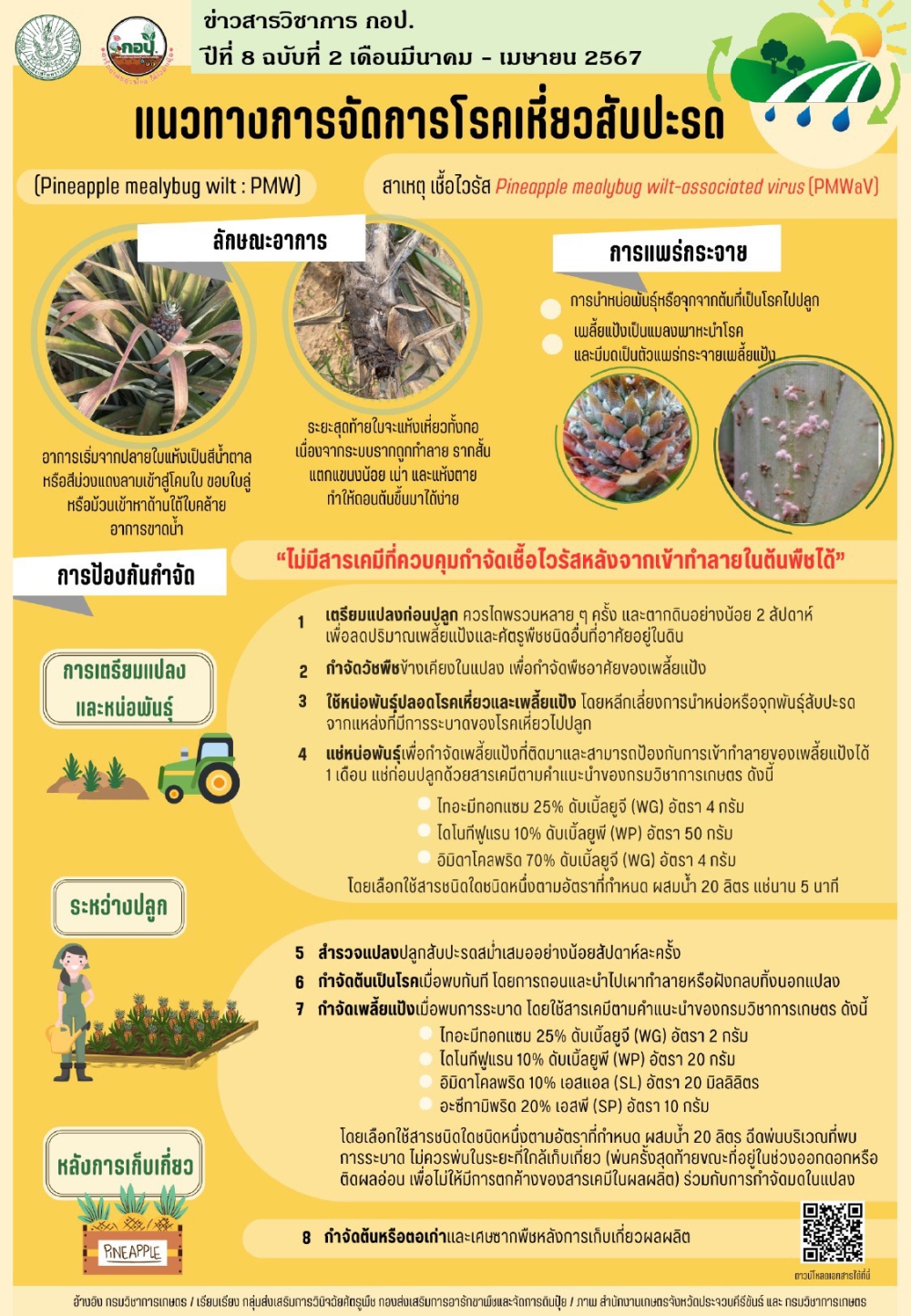 การจัดการโรคเหี่ยวสับปะรด