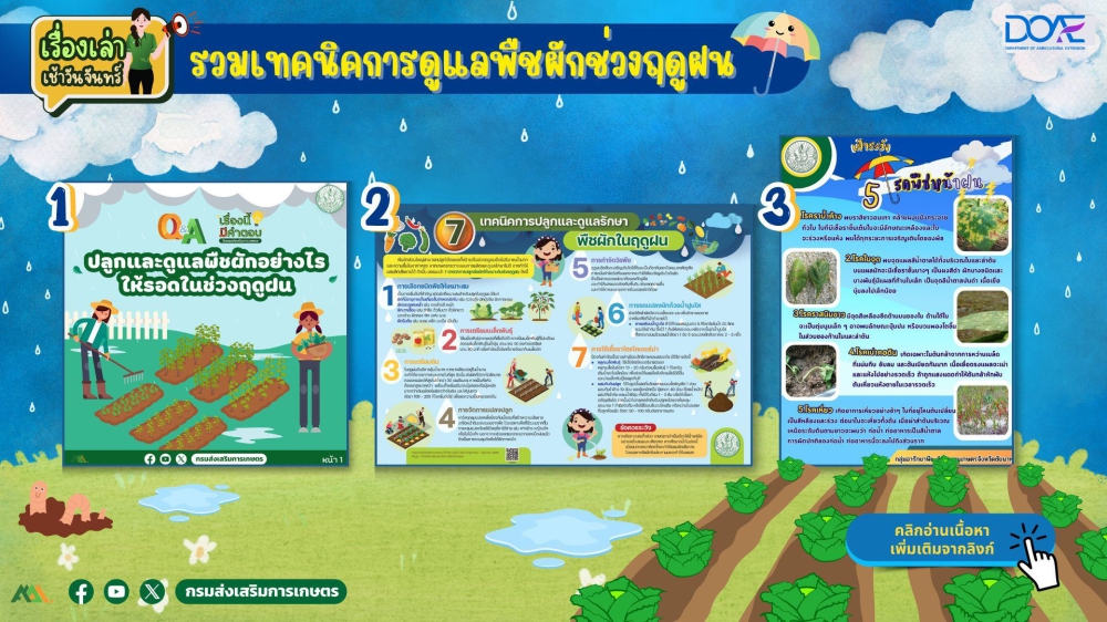 รวมเทคนิคการดูแลพืชผักช่วงฤดูฝน