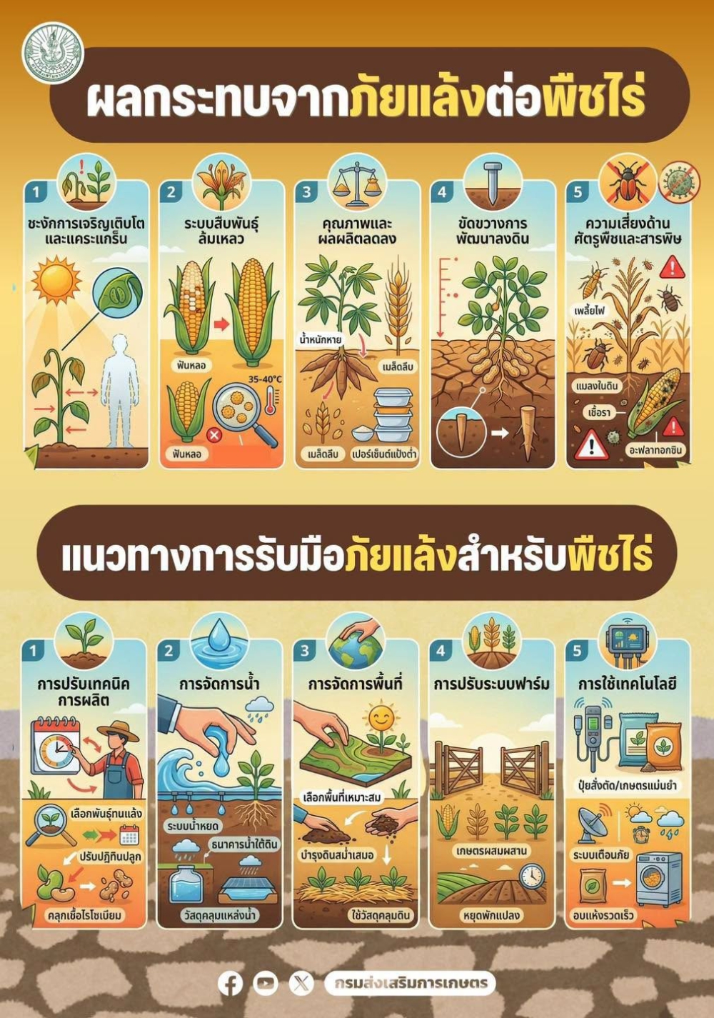 ผลกระทบจากภัยแล้งต่อพืชไร่