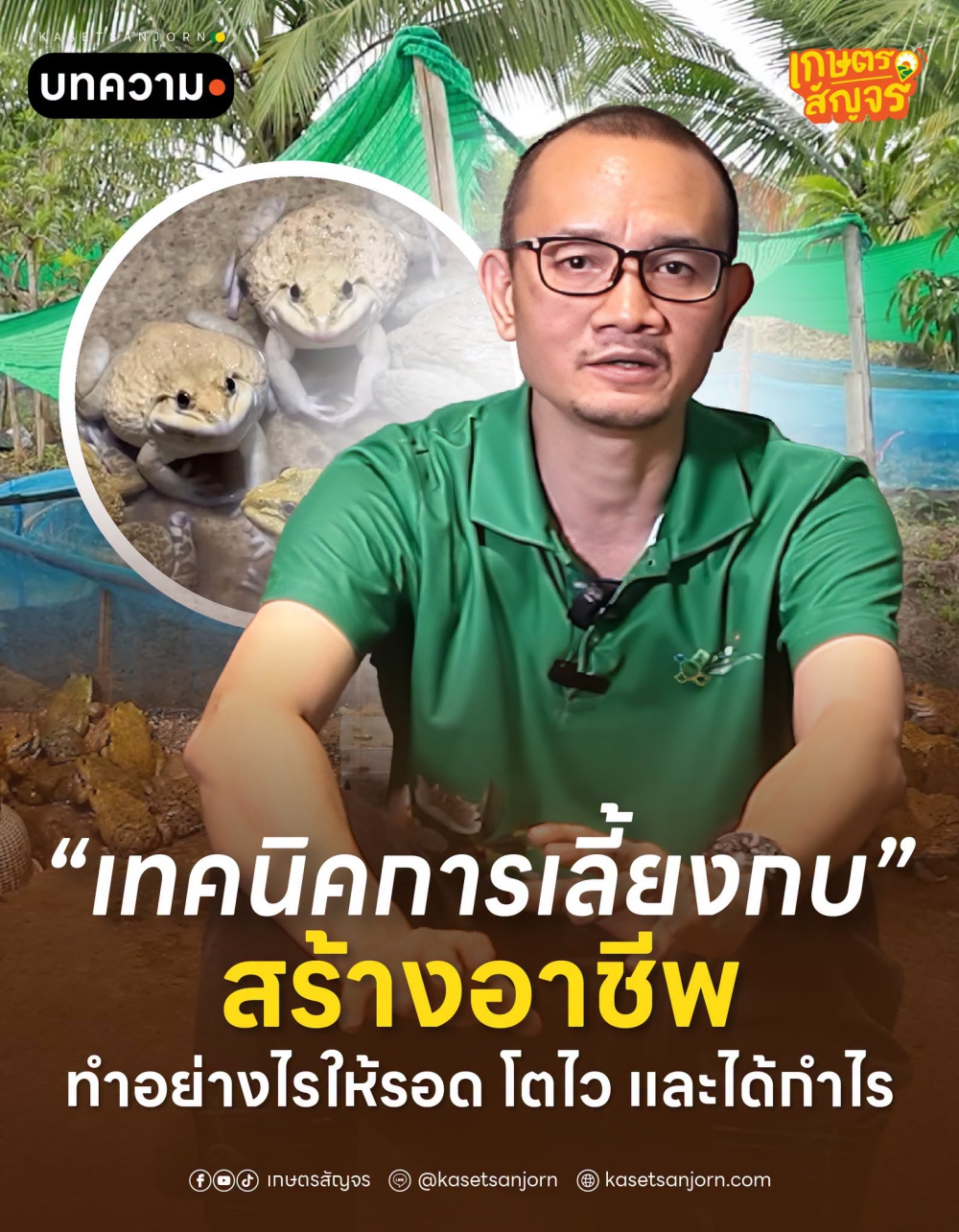 มือใหม่อยากเลี้ยงกบ