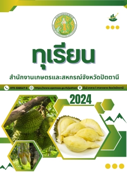 ทุเรียน ปี 2567