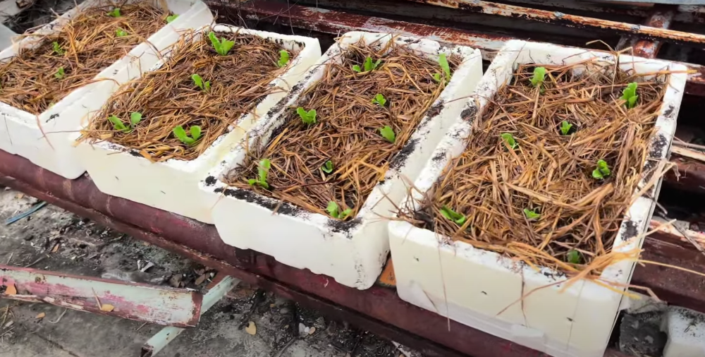 แหล่งอ้างอิงรูปภาพ :https://www.youtube.com/watch?v=XFUAc61WqWc