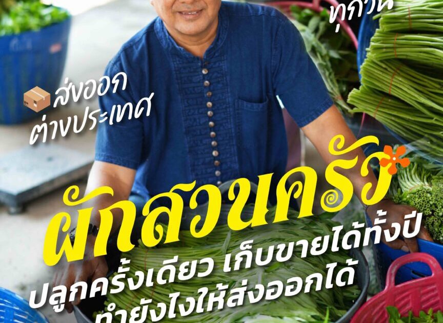 ผักสวนครัวปลูกครั้งเดียวเก็บขายได้ทั้งปี