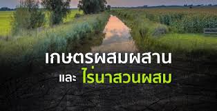 ทำเกษตรผสมผสาน ๒ไร่ใช้เวลาแค่ ๒ปี มีรายได้ทุกวัน