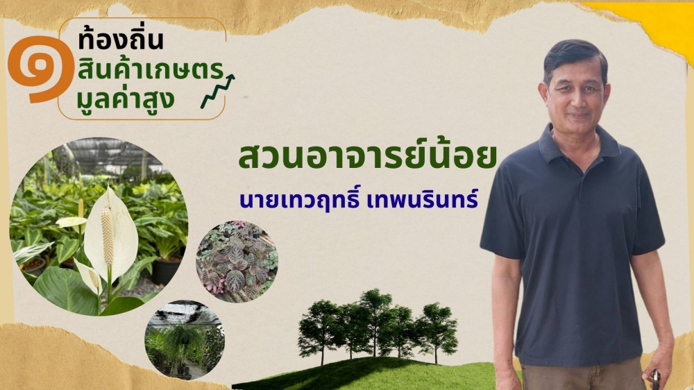 สวนอาจารย์น้อย(นายเทวฤทธิ์