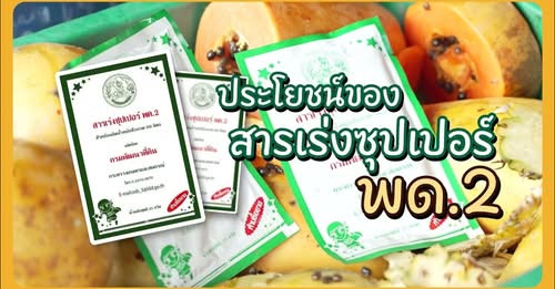 เสริมรากสร้างต้นด้วยพด.2โครงการเกษตรอินทรีย์ในโรงเรียน