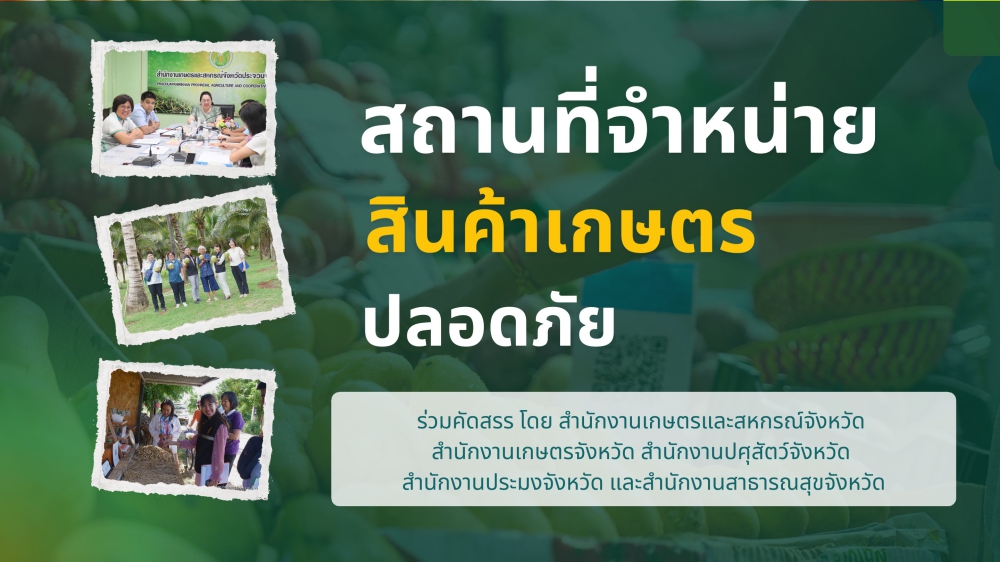 24 สถานที่จำหน่ายสินค้าเกษตรปลอดภัย