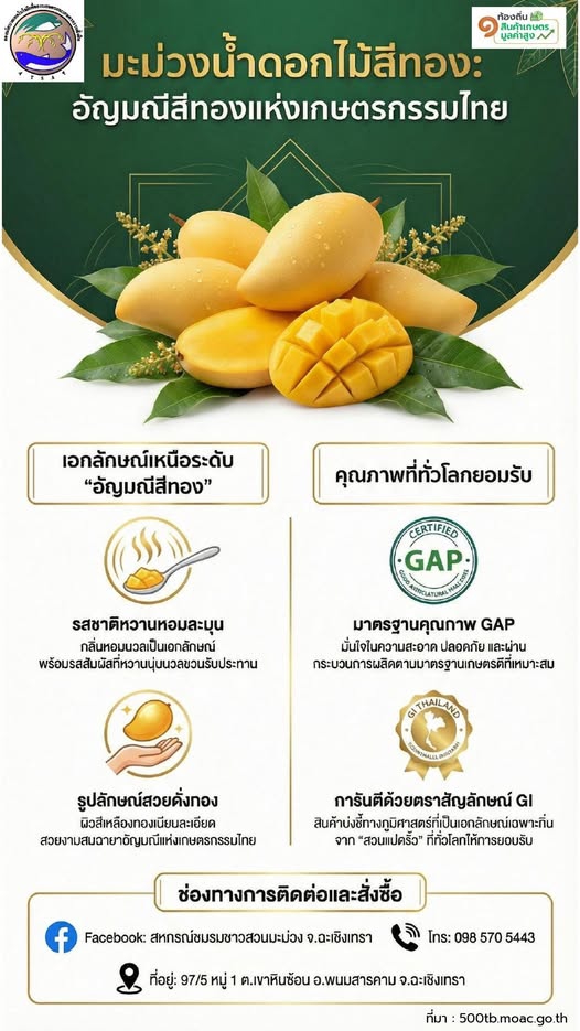 สหกรณ์ชมรมชาวสวนมะม่วง จังหวัดฉะเชิงเทรา จำกัด